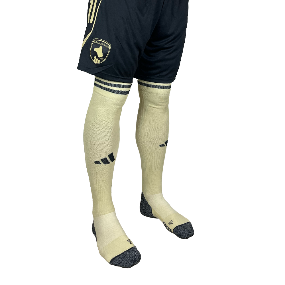 CHAUSSETTES THIRD ADULTE 25-26