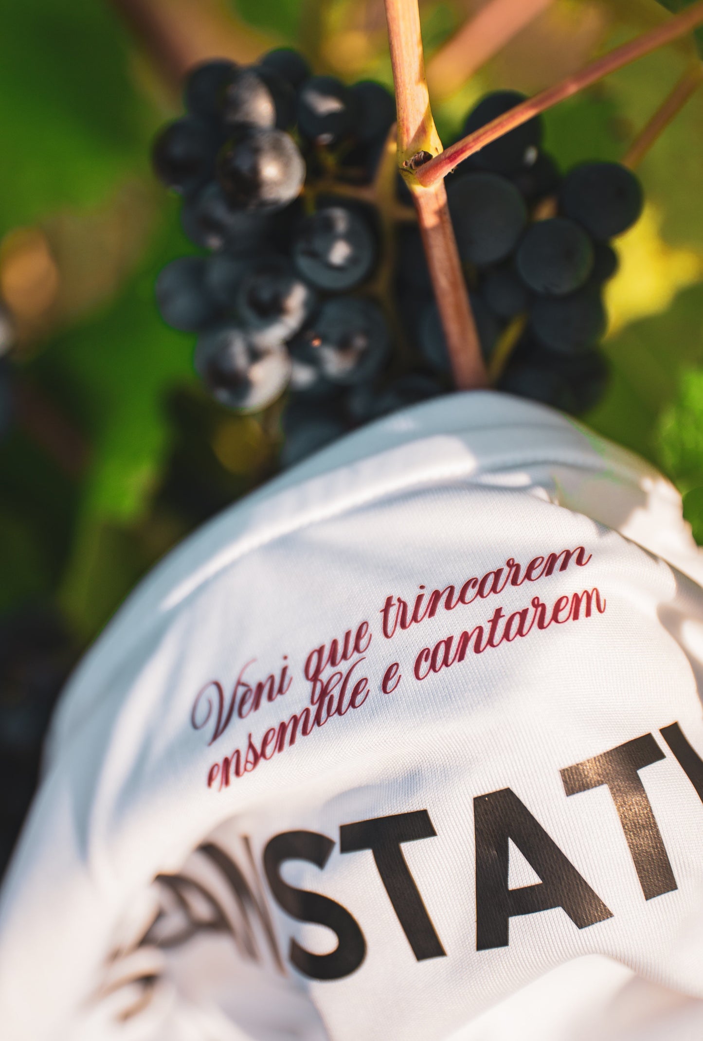 Maillot Édition Limitée – Le Vallon